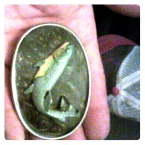 One more old belt buckle